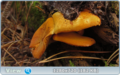 0_f4f93_68b45059_orig.png
