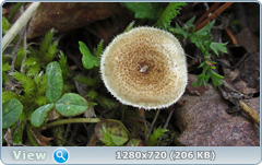 0_fc438_5eabeda3_orig.png