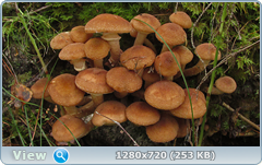 0_fc714_ac8cdbca_orig.png