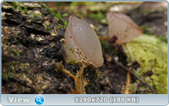0_f27ec_a04334ec_orig.png