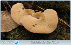 0_f281c_7c7c72be_orig.png