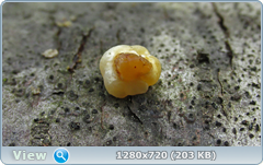 0_fbea7_569b2378_orig.png