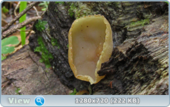 0_e94be_af960c37_orig.png
