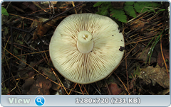 0_fb16d_aaa3348b_orig.png