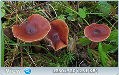 0_fba48_1bd95b34_orig.png