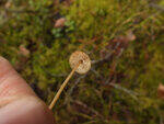 0_cffa7_2b45214d_S.jpg