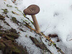 0_d1421_f276288_S.jpg