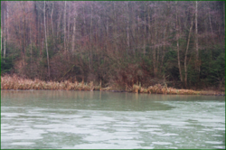 0_110786_566d9a16_orig.png