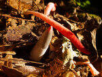 0_c1b5c_18e85645_S.jpg