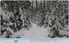 0_fa65b_a69c629f_orig.png