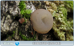 0_f12ae_5a64270c_orig.png