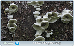 0_e94dc_488f5c9d_orig.png