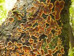 0_baa08_e3df6813_S.jpg