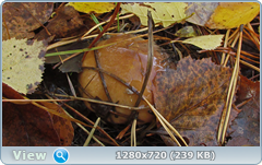 0_f272a_fac86c29_orig.png