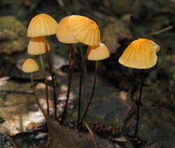0_bd131_5552822d_M.jpg