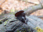 0_cf766_6c6c5b01_S.jpg
