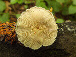0_c23db_3253852f_S.jpg