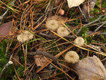 0_cbdbe_d99774e3_S.jpg