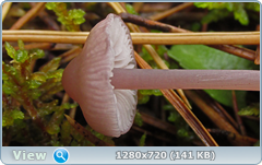 0_f27ba_2acf0ce0_orig.png