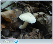 0_130cff_b7b1349e_orig.png