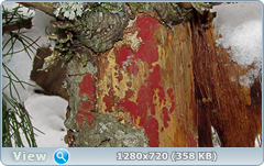 0_fa692_148506fd_orig.png