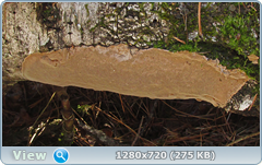 0_1027cb_5e69a857_orig.png