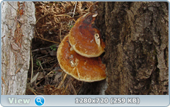 0_103df0_baac5cc5_orig.png