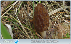 0_106485_b9190844_orig.png