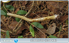 0_10aa74_45acf9c5_orig.png