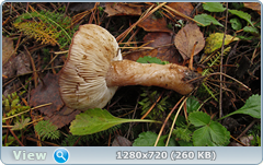 0_f276a_4b79ca40_orig.png