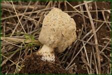 0_f5b14_313e5209_orig.jpg