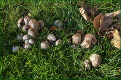 0_db381_5ad57f03_orig.png