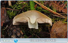 0_f275c_3e84097_orig.png