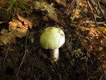 0_c5a8c_5b64d69c_S.jpg