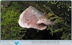 0_1121e3_378d5481_orig.png