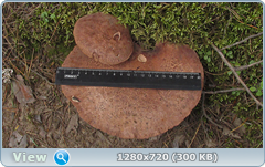 0_112230_e2e37a63_orig.png