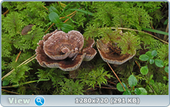 0_112242_14d6bb3e_orig.png
