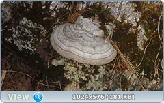 0_1375d9_e5073357_orig.png