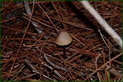 0_f21f9_60886146_orig.jpg