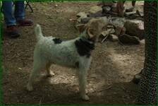 0_f6a15_7c7bd158_orig.jpg