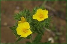 0_fc663_3c723dcd_orig.jpg