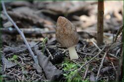 0_11f088_7cb5492c_orig.jpg