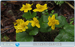 0_105939_95c6f730_orig.png