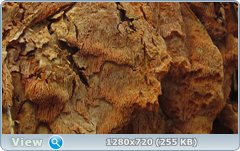 0_11506a_eb59d2e9_orig.png