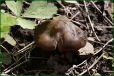 0_f61d5_871d09ca_orig.jpg