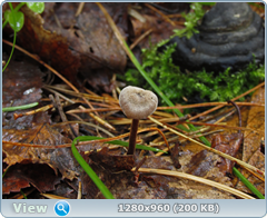 0_102866_e1d423ce_orig.png