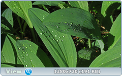0_106acc_51dcbb6e_orig.png