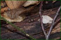 0_f154e_625e3753_orig.jpg