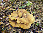 0_c2434_bf6ecb7b_S.jpg