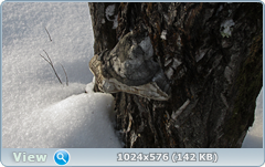 0_12093f_11b0623e_orig.png